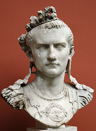 Portrait of Caligula - Warthog personality
