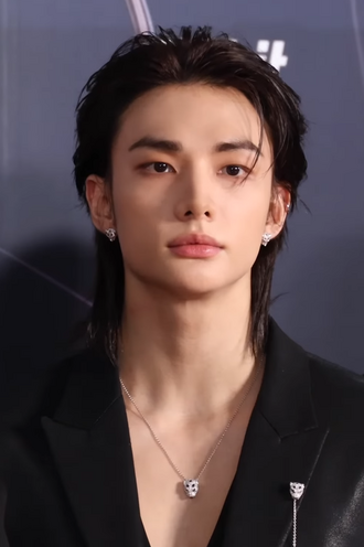 Portrait of Hwang Hyun-jin - Tiger personality