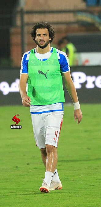 Portrait of Mahmoud Alaa - Wolf personality