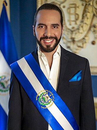 Portrait of Nayib Bukele - Lion personality