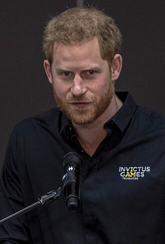 Portrait of Prince Harry - Porcupine personality
