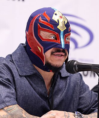Portrait of Rey Mysterio - Dolphin personality