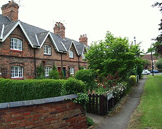 Portrait of Wilford - Walrus personality